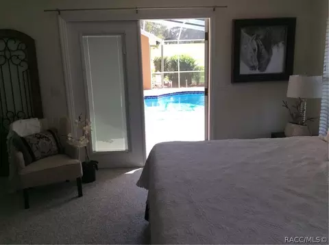 396 E Ireland Ct, Hernando, FL 34442 photo 10