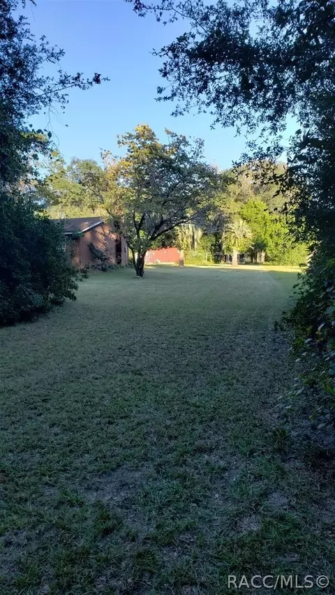4630 N Winchester Ter, Hernando, FL 34442 photo 7