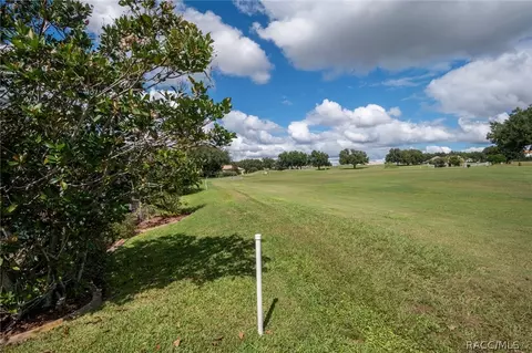 1643 N Dimaggio Path, Hernando, FL 34442 photo 35