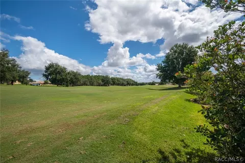 1643 N Dimaggio Path, Hernando, FL 34442 photo 36