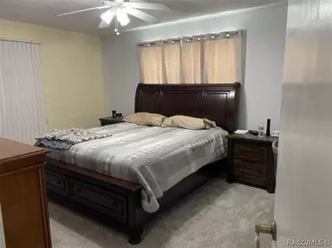 435 N Kinglet Ave, Hernando, FL 34442 photo 10