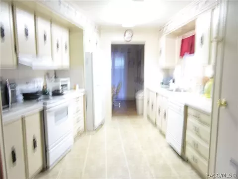 3519 E Hunters Ln, Hernando, FL 34442 photo 8