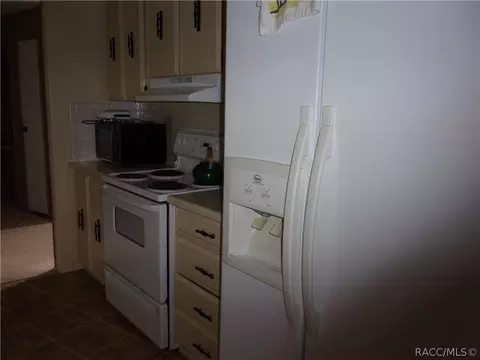 3519 E Hunters Ln, Hernando, FL 34442 photo 13