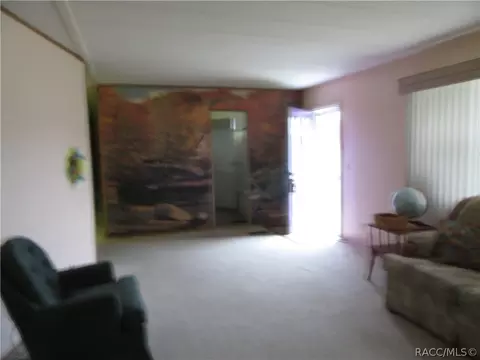 3519 E Hunters Ln, Hernando, FL 34442 photo 5