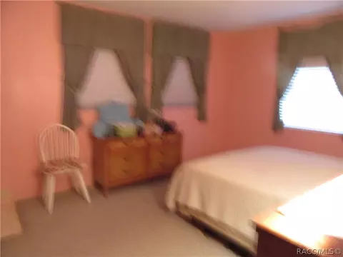 3519 E Hunters Ln, Hernando, FL 34442 photo 4