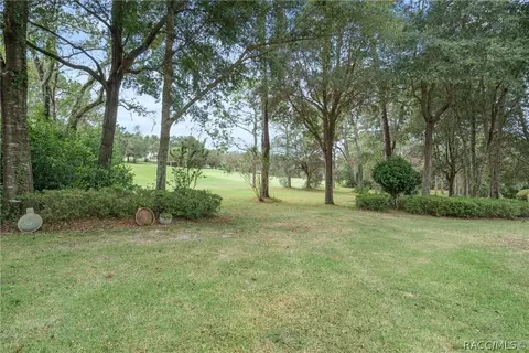 4044 N Pine Valley Loop, Lecanto, FL 34461 photo 45