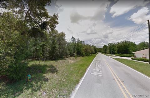 1217 N Annapolis Ave, Hernando, FL 34442 photo 6
