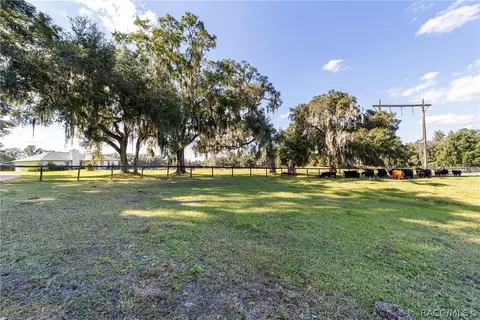 12150 NW 90th Ave, Reddick, FL 32686 photo 31
