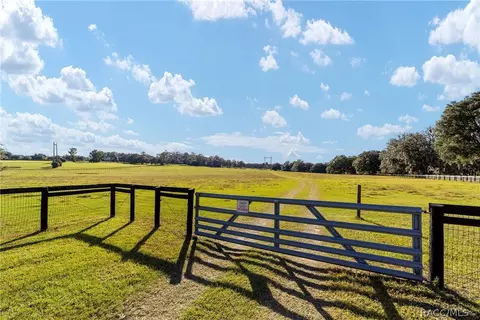 12150 NW 90th Ave, Reddick, FL 32686 photo 33