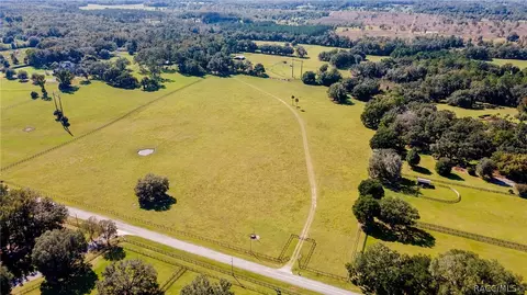 12150 NW 90th Ave, Reddick, FL 32686 photo 37