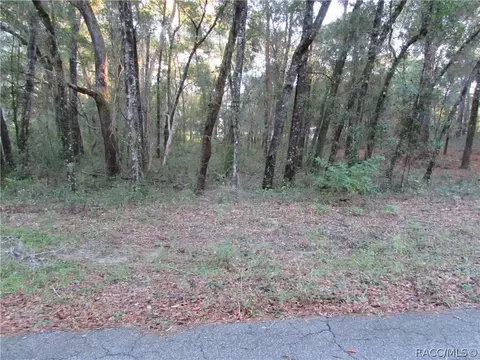 6732 E Hampton Ln, Inverness, FL 34452 photo 11