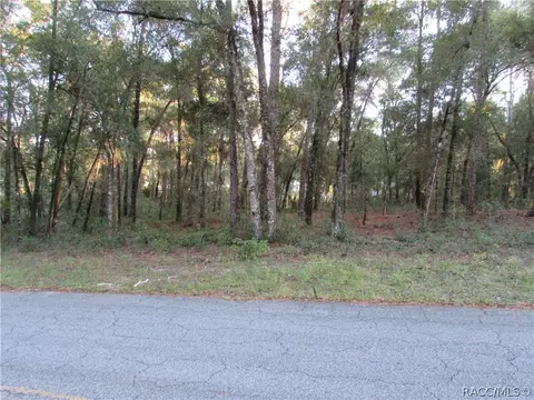 6732 E Hampton Ln, Inverness, FL 34452 photo 2