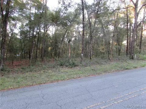 6732 E Hampton Ln, Inverness, FL 34452 photo 4