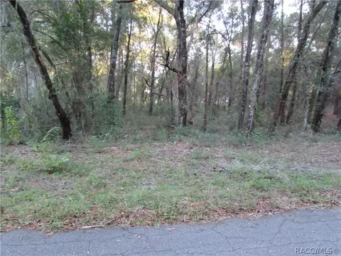 6732 E Hampton Ln, Inverness, FL 34452 photo 9