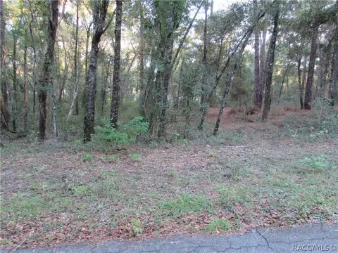 6732 E Hampton Ln, Inverness, FL 34452 photo 1