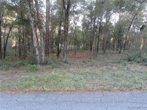 6732 E Hampton Ln, Inverness, FL 34452 photo 7