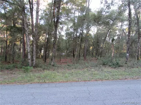 6732 E Hampton Ln, Inverness, FL 34452 photo 3