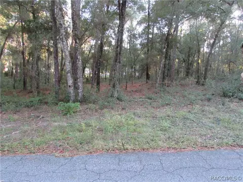 6732 E Hampton Ln, Inverness, FL 34452 photo 8