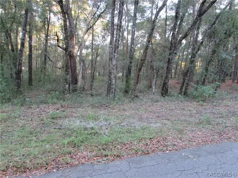 6732 E Hampton Ln, Inverness, FL 34452 photo 10