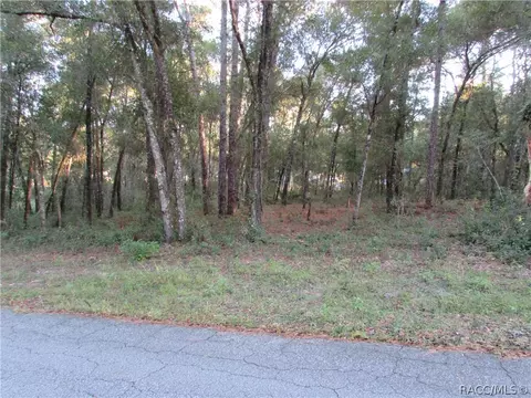 6732 E Hampton Ln, Inverness, FL 34452 photo 6