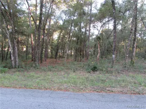 6732 E Hampton Ln, Inverness, FL 34452 photo 5
