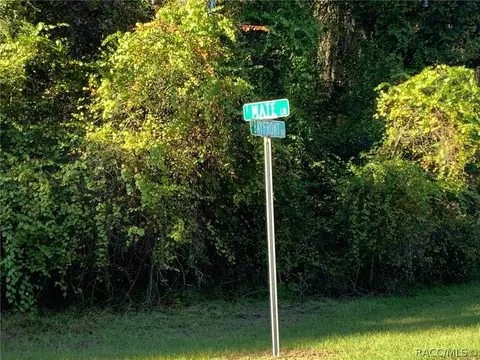 4396 E Mate Ln, Hernando, FL 34442 photo 5