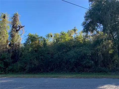 4396 E Mate Ln, Hernando, FL 34442 photo 3