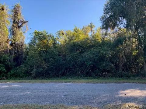 4396 E Mate Ln, Hernando, FL 34442 photo 2