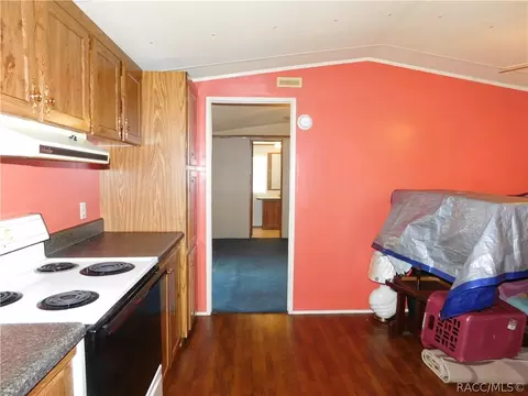 560 E Winnetka St, Hernando, FL 34442 photo 16