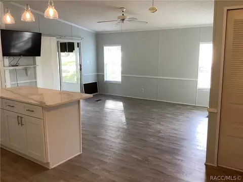 2224 N Loma Pt, Hernando, FL 34442 photo 11