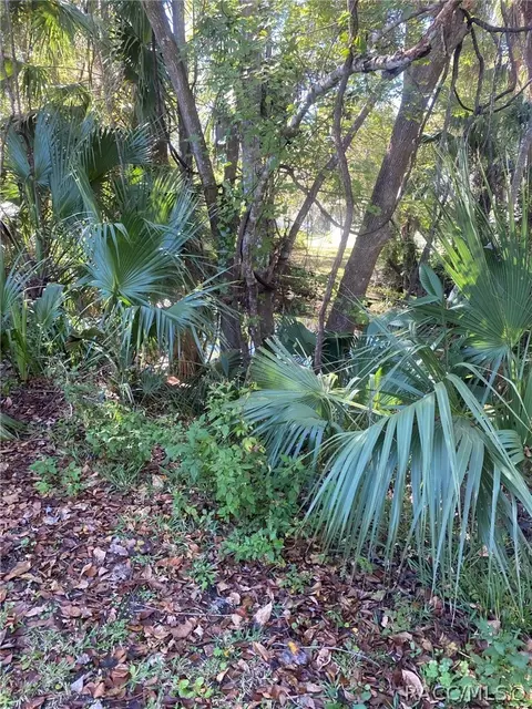 182 Palm St, Inglis, FL 34449 photo 6