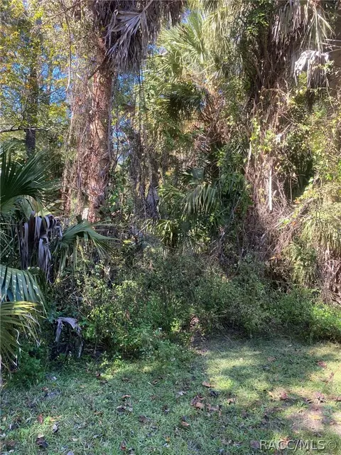 182 Palm St, Inglis, FL 34449 photo 23
