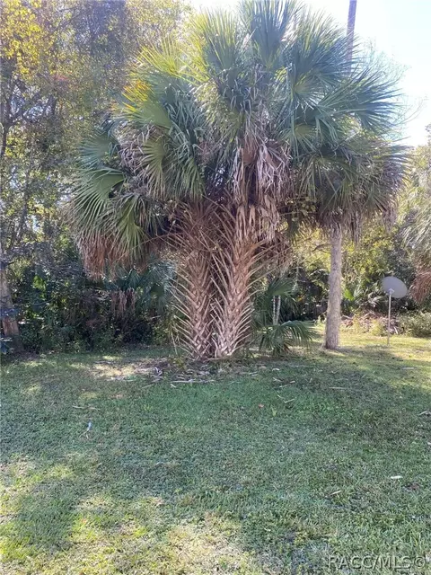 182 Palm St, Inglis, FL 34449 photo 2