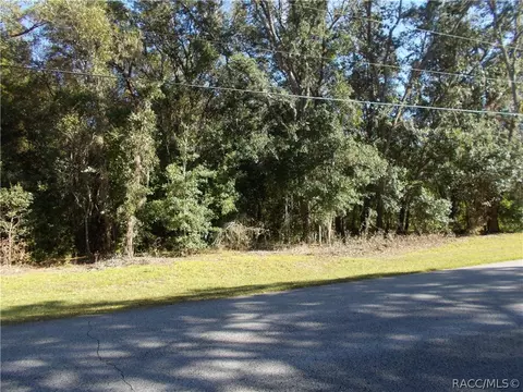 1523 W Pearson St, Hernando, FL 34442 photo 6