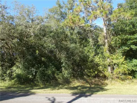 1523 W Pearson St, Hernando, FL 34442 photo 2