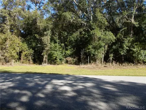 1523 W Pearson St, Hernando, FL 34442 photo 5