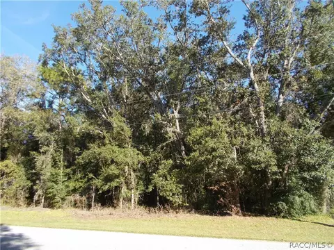 1523 W Pearson St, Hernando, FL 34442 photo 4