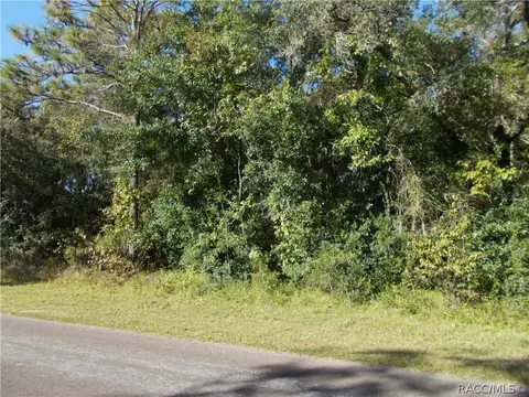 1523 W Pearson St, Hernando, FL 34442 photo 1