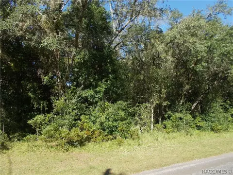 1523 W Pearson St, Hernando, FL 34442 photo 3