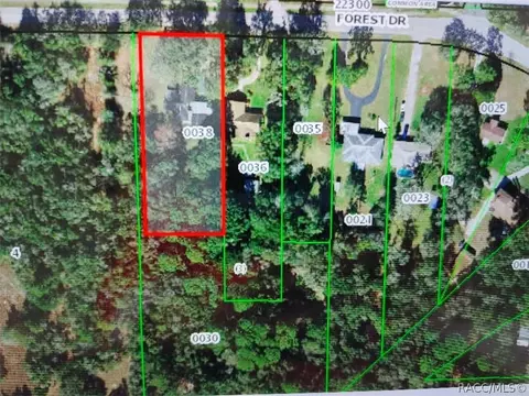 6735 N Bent Way, Hernando, FL 34442 photo 5