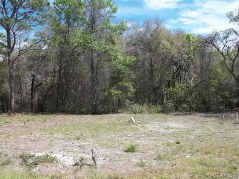 6735 N Bent Way, Hernando, FL 34442 photo 4