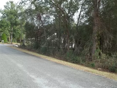 6735 N Bent Way, Hernando, FL 34442 photo 3