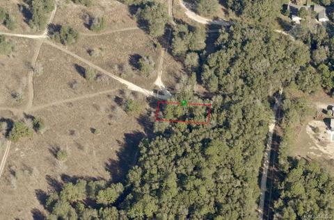 1016 Hillcrest Ave, Inverness, FL 34453 photo 4