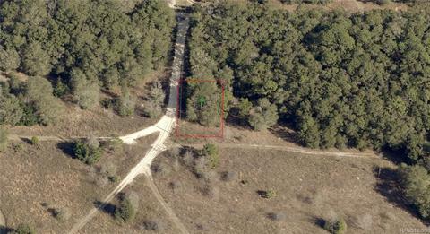 1016 Hillcrest Ave, Inverness, FL 34453 photo 3