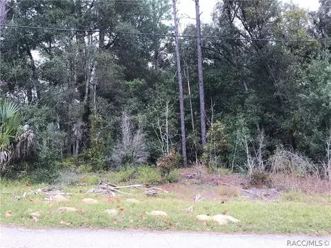 1109 E Getty Ln, Hernando, FL 34442 photo 3