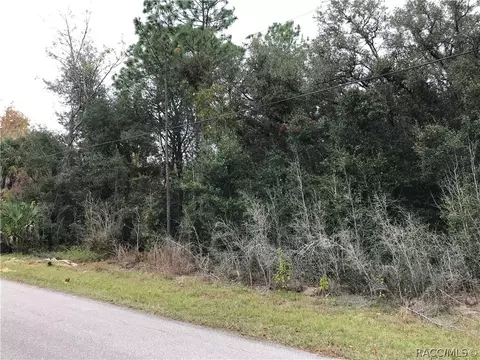 1109 E Getty Ln, Hernando, FL 34442 photo 2