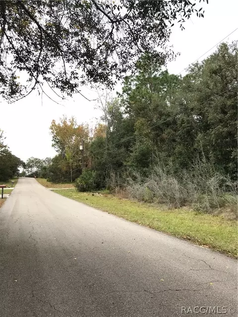 1109 E Getty Ln, Hernando, FL 34442 photo 6