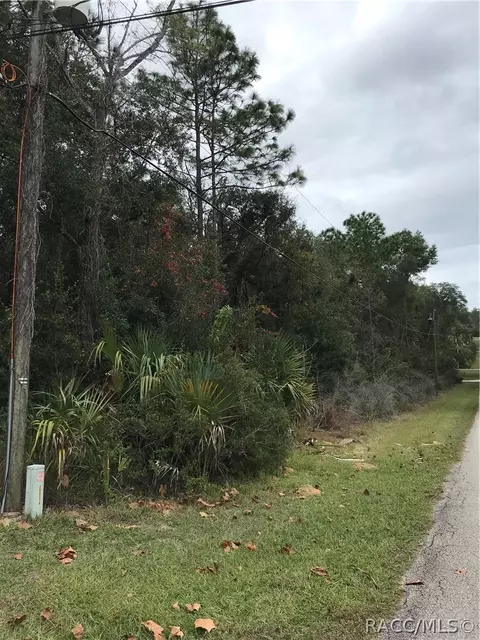 1109 E Getty Ln, Hernando, FL 34442 photo 5
