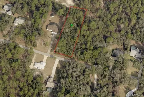 1109 E Getty Ln, Hernando, FL 34442 photo 1