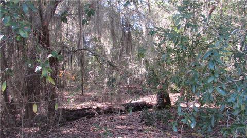1578 E Monopoly Loop, Inverness, FL 34453 photo 1